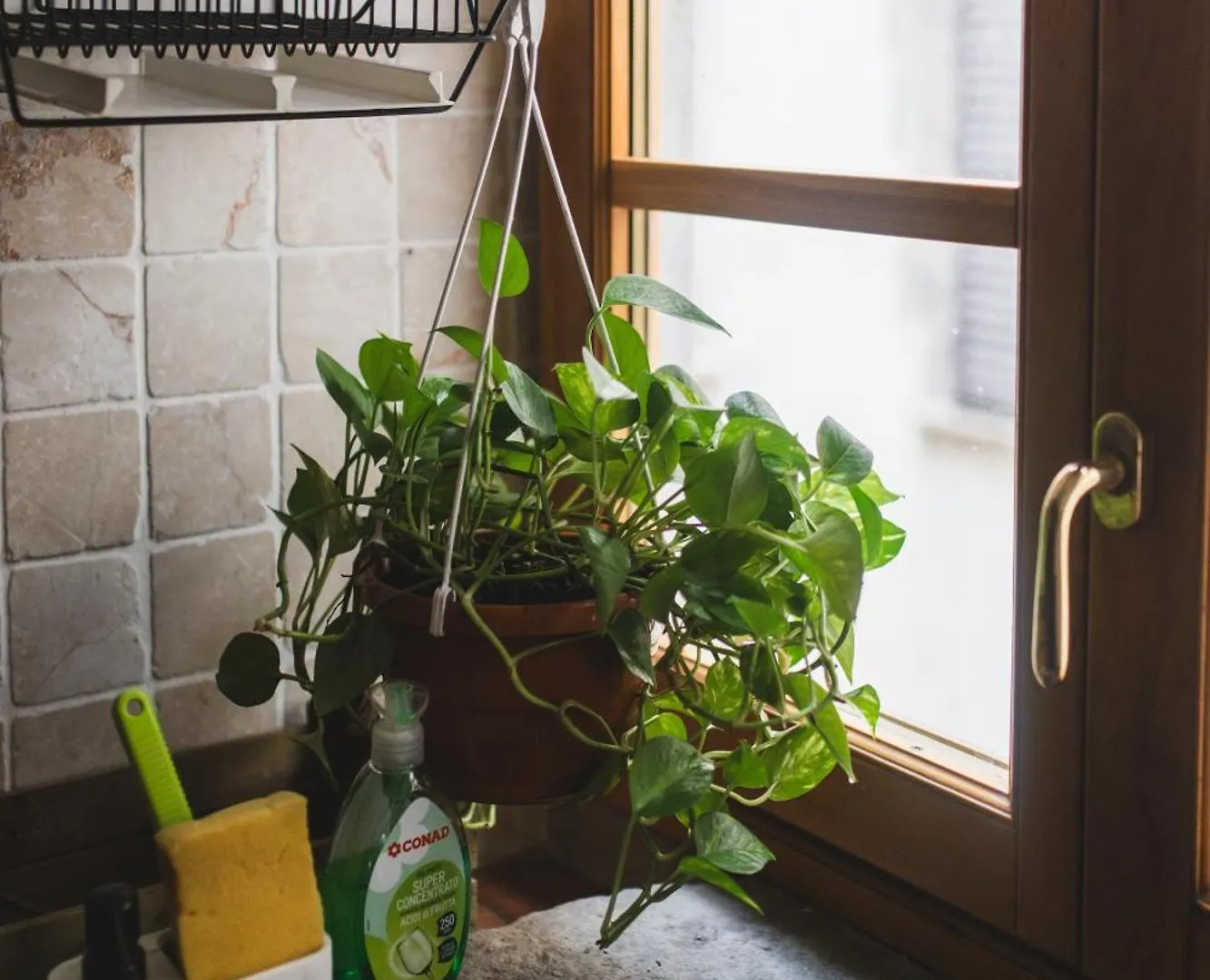 The Smallest Hostel Of Florence Italie